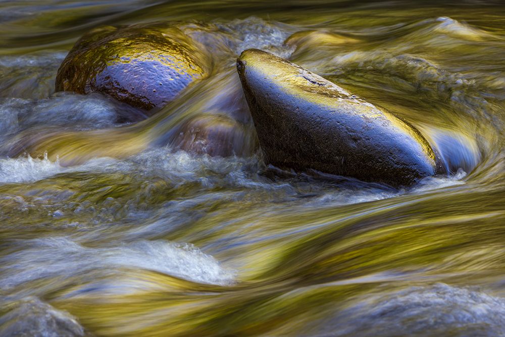 Spring foliage colors and sky reflecting on ripples on stream, Great Smoky Mountains NP, Tennessee